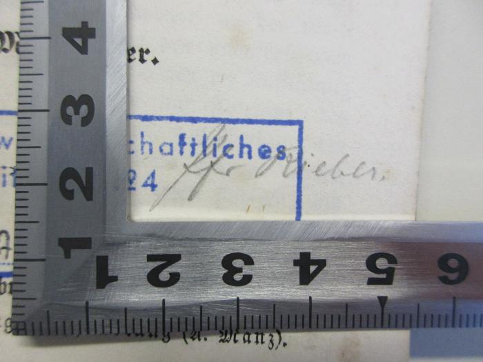 DK 3000 S386 : Landolin Schwabs Lehrerfreuden oder die Emancipation der Volksschule :  Eine einfache Geschichte aus unseren Tagen. (1864);- (Rieber, Jacob), Von Hand: Name; 'Pfr. Rieber'. 