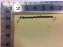 - (Hollmann, G. ), Von Hand: Name; 'Gerhard Hollmann ?  
'. 