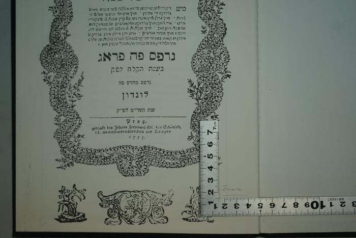 - (Beare, [?]), Von Hand: Name, Autogramm; 'Beare'. 