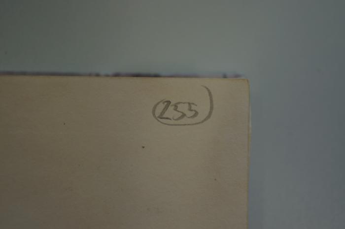 02A.014675 : Der Raw : Kulturhistorische Erzählung von Judäus (1913);- (unbekannt), Von Hand: Nummer; '255'. 