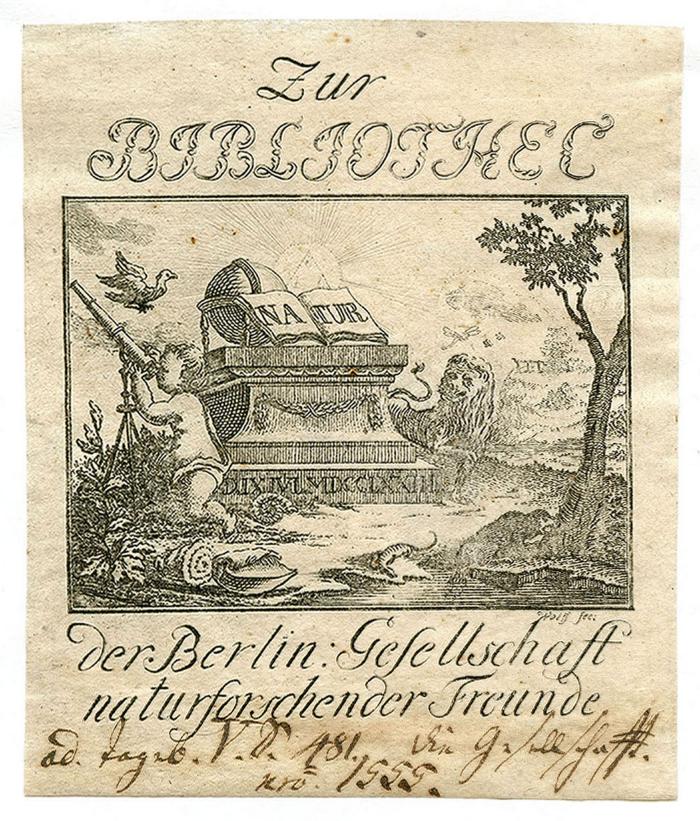 Exlibris-Nr. 556;- (Gesellschaft Naturforschender Freunde zu Berlin. Bibliothek), Von Hand: Signatur; 'ad. fageb. V. S. 481. die Gesellschaft. nro. 1555.'. 