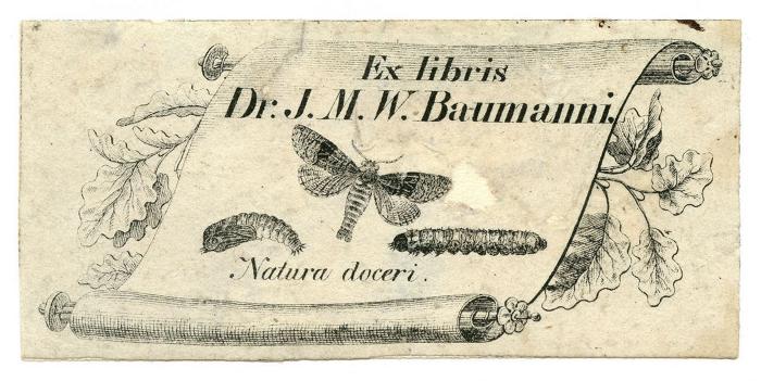 Exlibris-Nr. 605;- (Baumann, Johann M. W.), Etikett: Exlibris, Name, Berufsangabe/Titel/Branche, Motto, Abbildung; 'Ex libris
Dr. J.M.W. Baumanni.
Natura doceri.'.  (Prototyp)