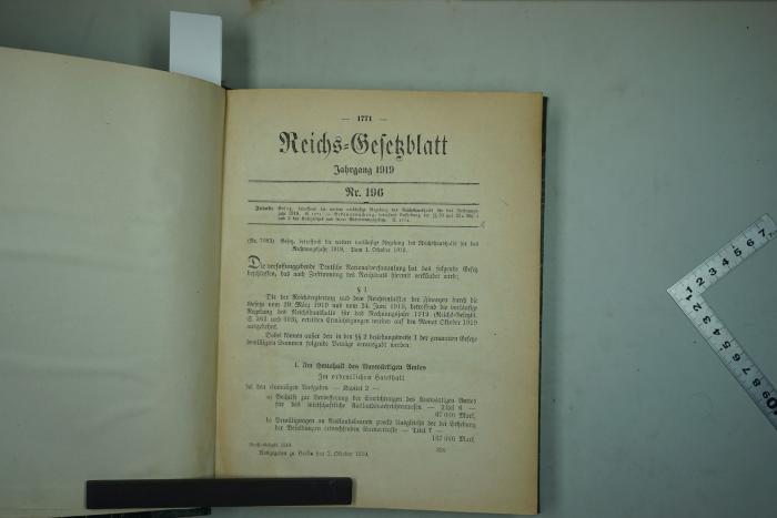  Reichs-Gesetzblatt, Jahrgang 1919. (1919)