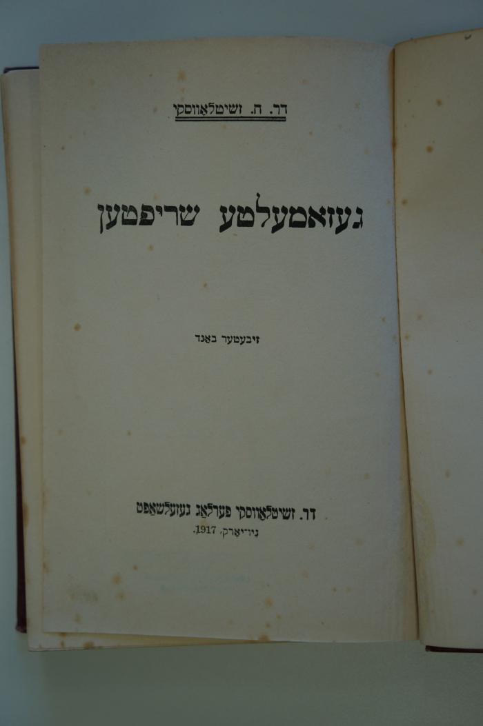 95 059603b : געזאמעלטע שריפטען (1917)