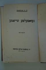 95 059603b : געזאמעלטע שריפטען (1917)