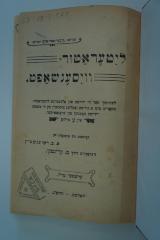 98 031014 : ליטעראטור וויסענשאפט : לעהרבוך (1923)