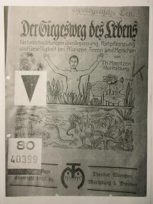 18/80/40399 : Der Siegeszug des Lebens (1927)