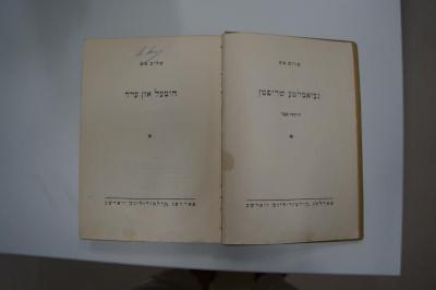 98 032375 : הימעל און ערד (1925)