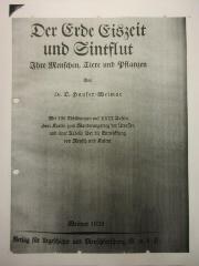 18/80/41379(6) : Der Erde Eiszeit und Sintflut: Ihre Menschen, Tiere und Planzen (1928)