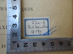 - (Biblioth. Provinc Argentor. C.SS.R.), Etikett: Signatur; '27a - 2
Theol. dogmatica
27599
'. 