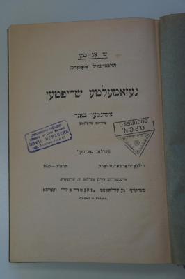 98 032717_11 : געזאמעלטע שריפטען : אין פופצעהן בענדע. צעהנטער באנד : זכרונות (1925)