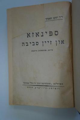 98 032977 : ספינוזא און זיין סביבה (1929)