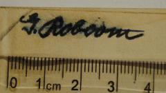 - (Roboom, Georg), Von Hand: Name; 'G. Roboom'. 