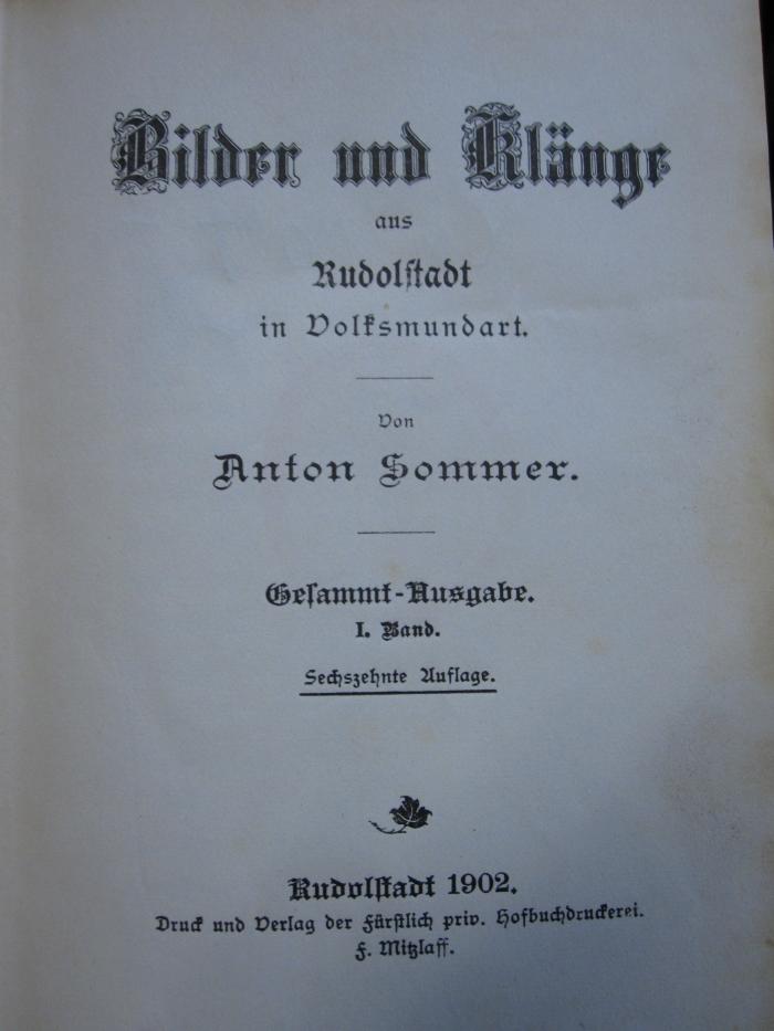 Cx 110 af 1: Bilder und Klänge aus Rudolstadt (1902)