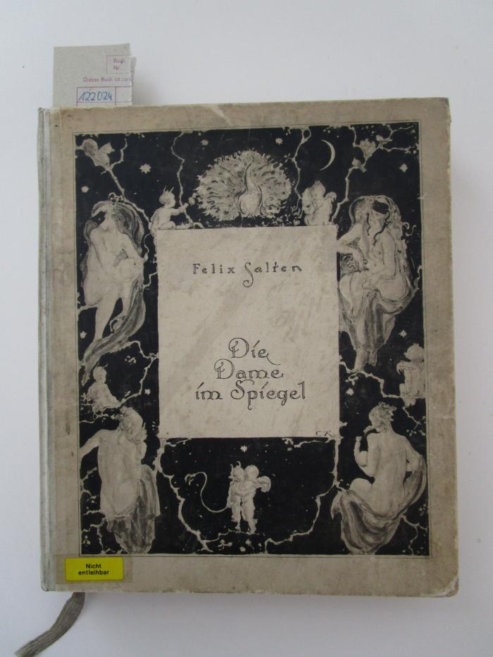Fd 1767: Die Dame im Spiegel (1920)