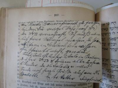  Tozeoth Chajim : Vollständiges Gebet- und Erbauungsbuch zum Gebrauche bei Kranken, Sterbenden, während der Trauer und beim Besuche der Gräber der Angehörigen. Anhang in deutscher Sprache. (1900);- (Kahn, Moses;[...], Siegfried;Bauernfreund, Rudi;[...], Salo), Post: Notiz, Name; '[...] den Rudi Bauernfreund zu fragen, bei dem In verziger Jahr (nach ר"ח [Neumond]) die מילה [Beschneidung] verwechselt. Ich muß [...]lich seinen Wimpel machen, u. seine Eltern in Schluchten wissen ihn scheints nicht genau.
Seit 2. Juli ist unser l. Salo in Ferien, u. über פ פינחס [P. Pinchas] kommen alle unsere l. Kinder, da lb. Salo בר מצוה [Bar Mizwa] wird. Sende noch herzl. Grüße auch von lb. Babette. d tr. Vetter Siegfried.'. 