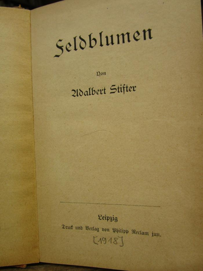 Cm 8186: Feldblumen ([1918])