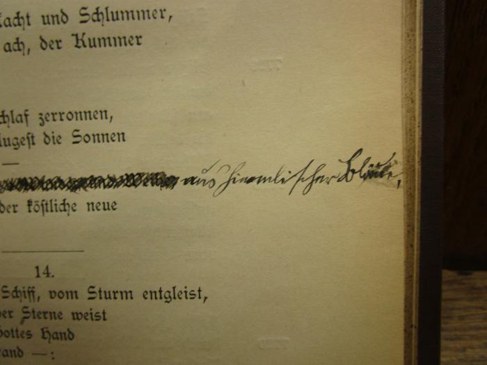 Cm 8199: Der Heimgeist : Alte Mär aus neuen Tagen (1894);- (Höppner, Margarete), Von Hand: Annotation; 'aus himmlischer Bl[...]'. 