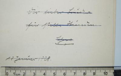 - ([?], Thea[?];[...]), Von Hand: Widmung, Name, Datum; 'Dir lieber Bruder für stille Stunden. / Thea.[?] / 18. Januar 1928.'. 