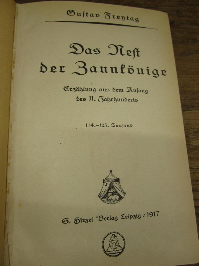 Cm 8234 1917: Das Nest der Zaunkönige : Erzählung aus dem Anfang des 11. Jahrhunderts (1917)