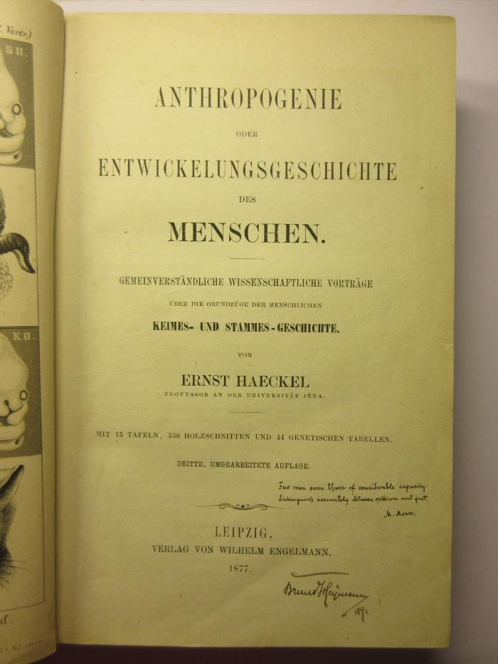 88/80/40874(9) : Anthropogenie oder Entwicklungsgeschichte
des Menschen. (1877)