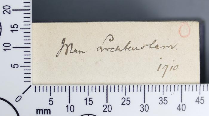 - (Lichtenstein, Max), Von Hand: Autogramm; 'Max Lichtenstein 1910'. 