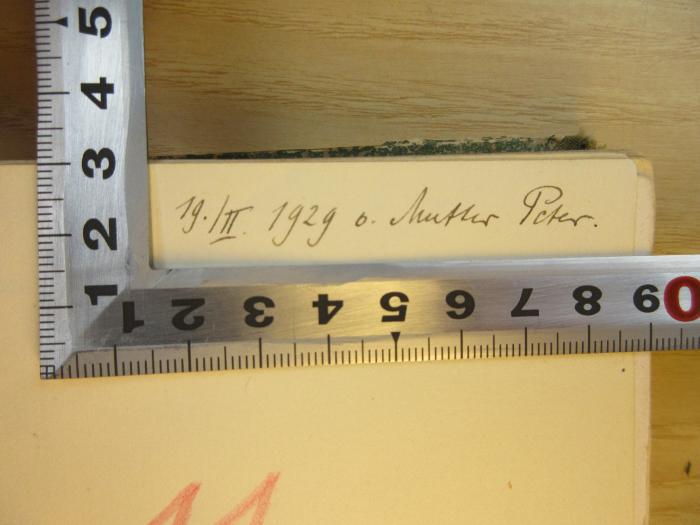 Soz 3 g zah a : Die Frauenbewegung : Geschichte , Probleme, Ziele (1928);-, Von Hand: Datum, Name; '19./II. 1929 o. [?] Mutter Peter.'