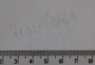 - (Schub, [?]), Von Hand: Name; 'Toni Schub.'. 