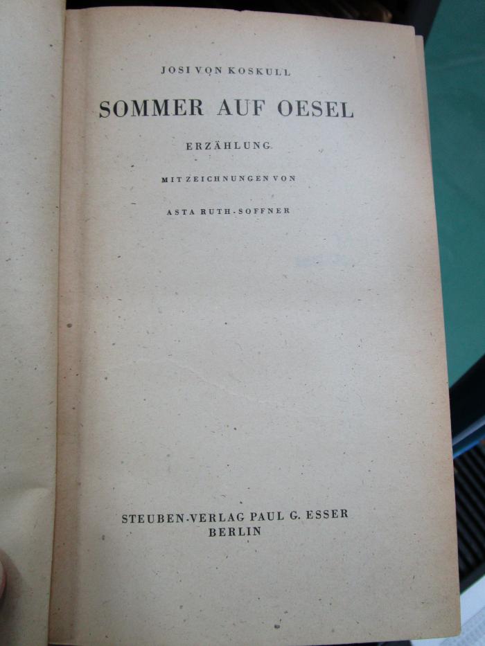 Cw 196 Ers.: Sommer auf Oesel : Erzählung (o.J.)