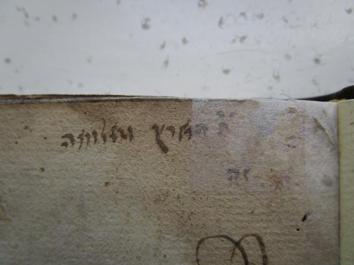  .ספר מהריל: הוא מורינו החם השלום כמהר ר יעקב בכמר משה הלוי ז"ל
[= Buch MaHaRil: unseres warmherzigen Lehres R. Yaakov Bakamar Moshe Halevi, sel. A.] (1730);-, Von Hand: Notiz; 'הארץ ורילוווה זה [Das Land und Rillova? sind]'