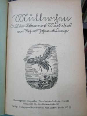 Cw 625: Müllerchen : Aus dem Leben eines Maikäfers (um 1930)