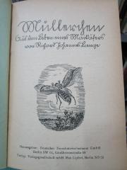 Cw 625: Müllerchen : Aus dem Leben eines Maikäfers (um 1930)