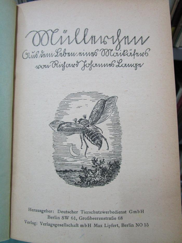 Cw 625: Müllerchen : Aus dem Leben eines Maikäfers (um 1930)