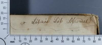 - (Mendel, Löb), Von Hand: Exlibris; 'ex Libris Löb Mendel'. 